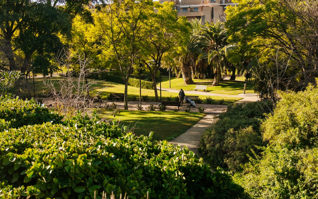 València se convierte en una de las dos ciudades finalistas a Capital Verde Europea 2024