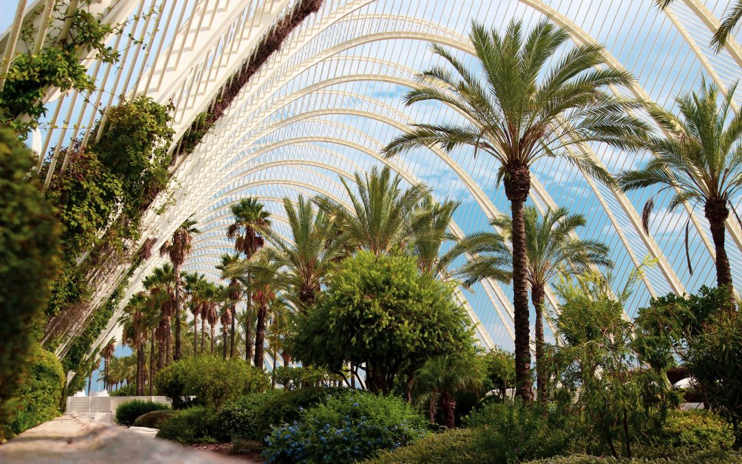València presenta los resultados preliminares de la Compra Pública de Innovación